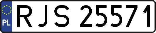 RJS25571