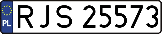 RJS25573