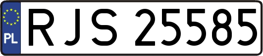 RJS25585