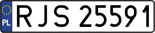 RJS25591