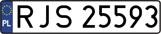 RJS25593