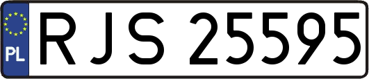 RJS25595