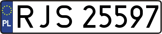 RJS25597