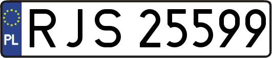 RJS25599