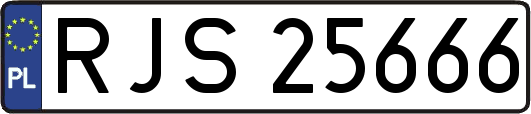 RJS25666