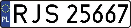 RJS25667