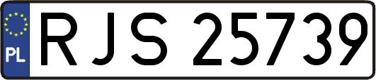 RJS25739