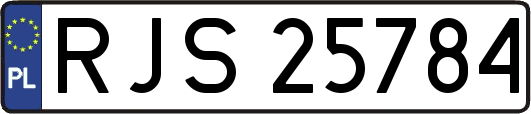 RJS25784