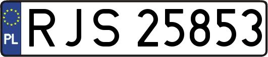 RJS25853
