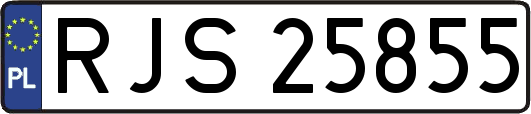 RJS25855