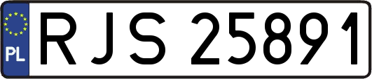RJS25891