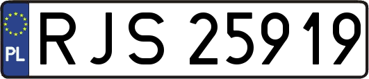 RJS25919