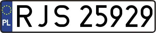 RJS25929