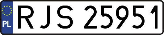 RJS25951