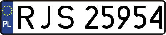 RJS25954