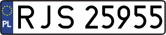 RJS25955