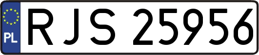RJS25956