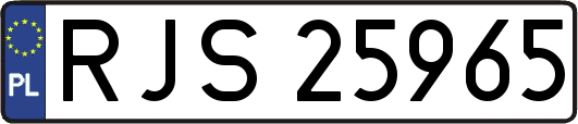 RJS25965