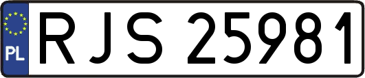 RJS25981