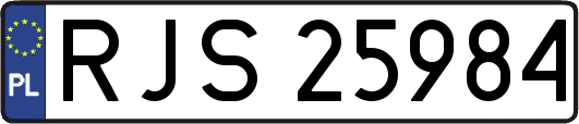 RJS25984