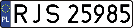 RJS25985