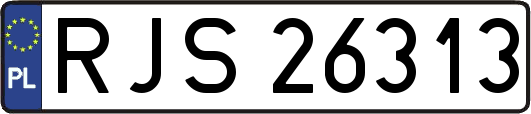 RJS26313