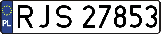 RJS27853