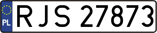 RJS27873