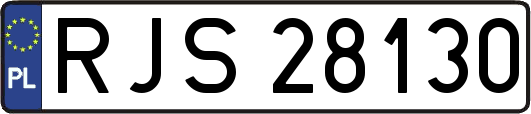 RJS28130