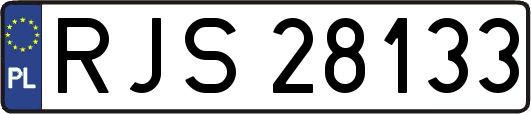 RJS28133