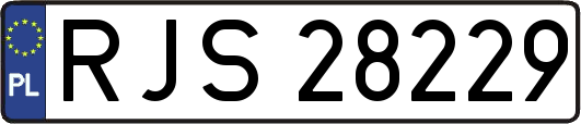 RJS28229