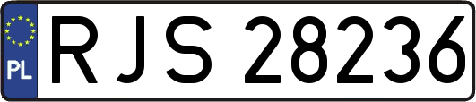 RJS28236