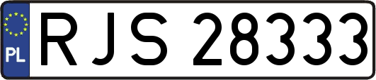 RJS28333