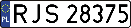RJS28375