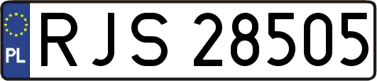 RJS28505
