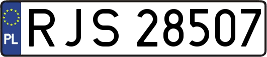 RJS28507