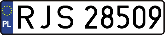 RJS28509