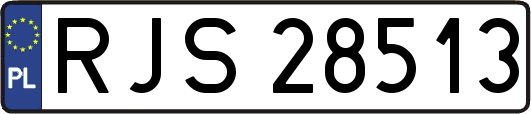 RJS28513