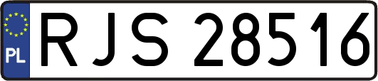 RJS28516