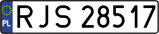 RJS28517