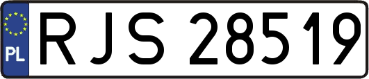 RJS28519