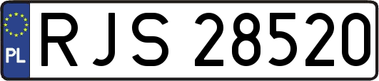 RJS28520