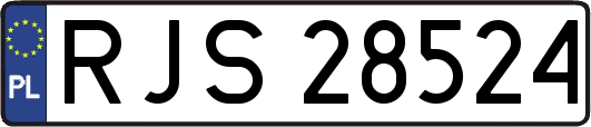 RJS28524
