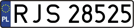 RJS28525