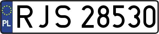 RJS28530