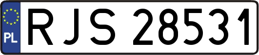 RJS28531