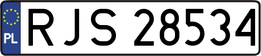RJS28534