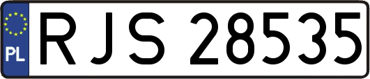 RJS28535