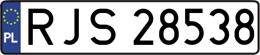 RJS28538