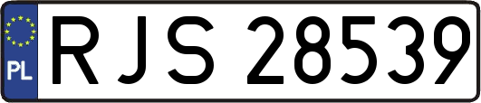 RJS28539